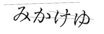 CAPTCHA画像