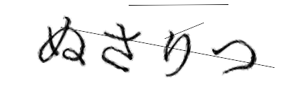 CAPTCHA画像