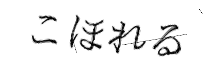 CAPTCHA画像
