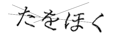 CAPTCHA画像