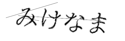 CAPTCHA画像