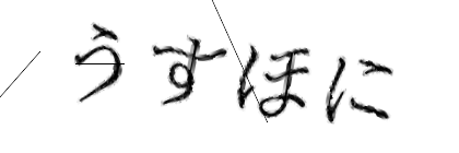 CAPTCHA画像