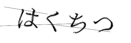 CAPTCHA画像