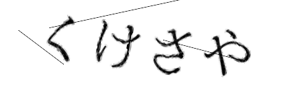 CAPTCHA画像