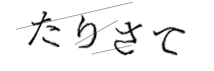 CAPTCHA画像