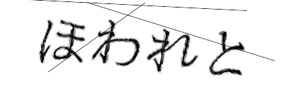 CAPTCHA画像