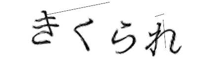 CAPTCHA画像