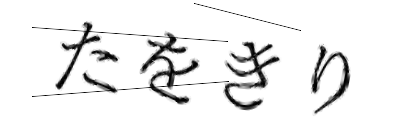 CAPTCHA画像