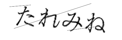 CAPTCHA画像