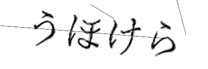 CAPTCHA画像