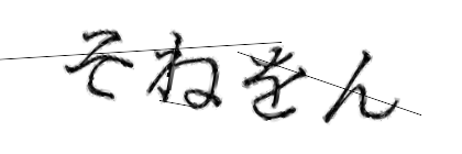CAPTCHA画像
