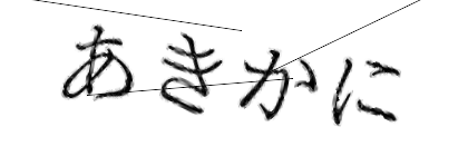 CAPTCHA画像