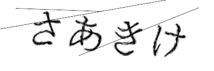 CAPTCHA画像