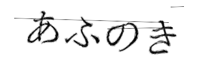 CAPTCHA画像