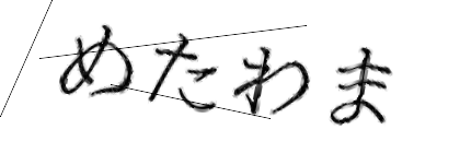 CAPTCHA画像