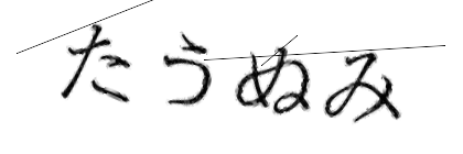 CAPTCHA画像