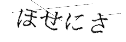 CAPTCHA画像