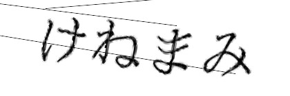 CAPTCHA画像