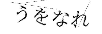 CAPTCHA画像