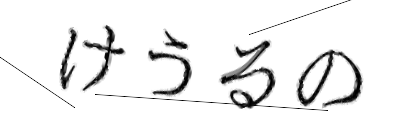 CAPTCHA画像