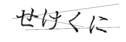 CAPTCHA画像