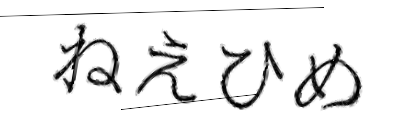 CAPTCHA画像