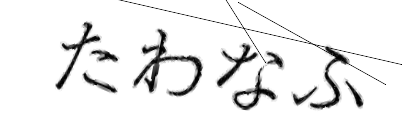 CAPTCHA画像