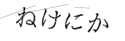 CAPTCHA画像