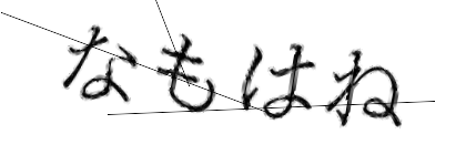 CAPTCHA画像