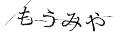 CAPTCHA画像