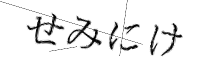 CAPTCHA画像