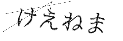 CAPTCHA画像