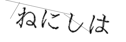 CAPTCHA画像