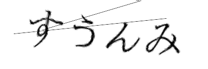 CAPTCHA画像