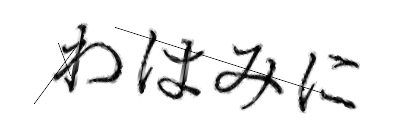 CAPTCHA画像