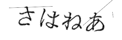 CAPTCHA画像