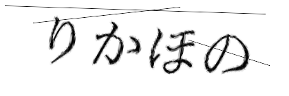 CAPTCHA画像