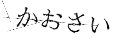 CAPTCHA画像