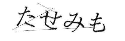 CAPTCHA画像