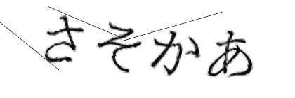 CAPTCHA画像