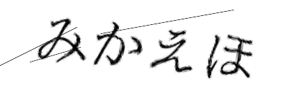 CAPTCHA画像