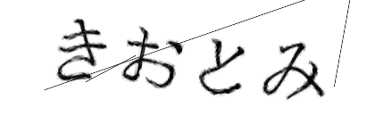 CAPTCHA画像