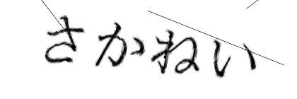 CAPTCHA画像