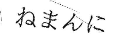 CAPTCHA画像