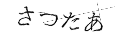 CAPTCHA画像
