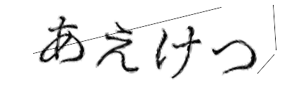 CAPTCHA画像