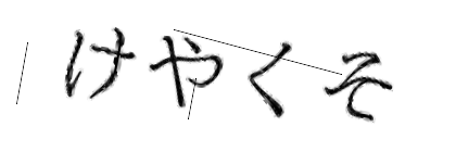 CAPTCHA画像