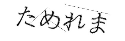 CAPTCHA画像