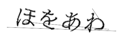 CAPTCHA画像