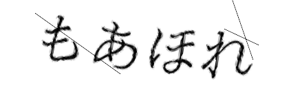CAPTCHA画像